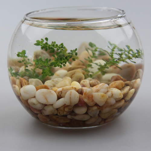 玻璃石头摆件石子水培植物雨花石配饰鹅卵石盆栽配饰珍珠沙