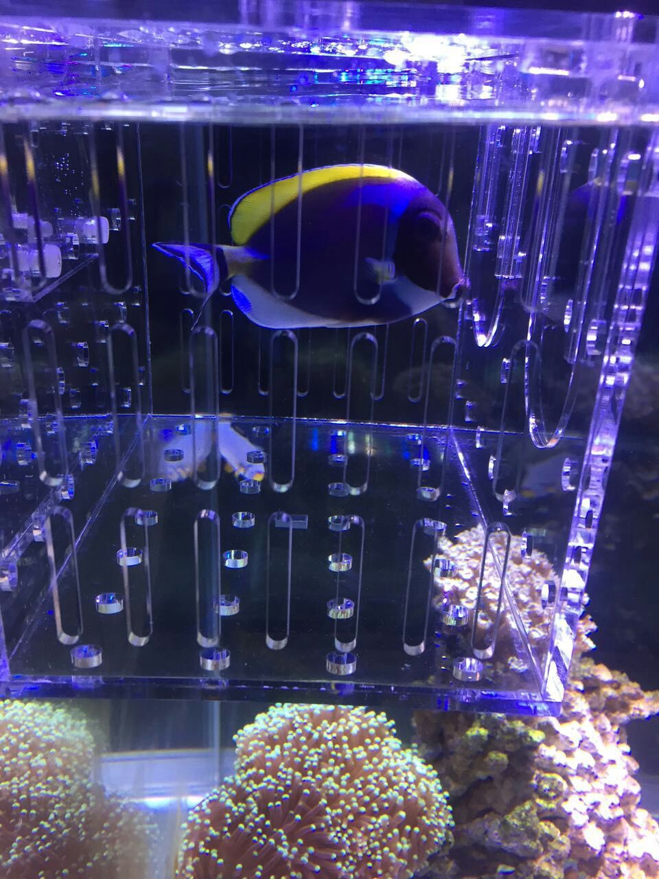 mmexport1463068265438