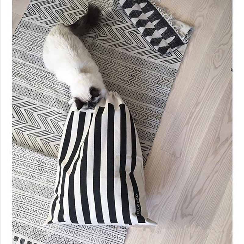 3368183995_1732020224