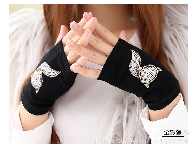 3102648334_1765864991