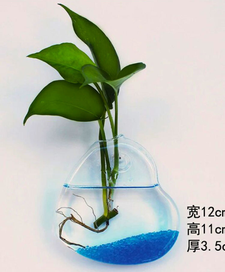 3679825285_259213715