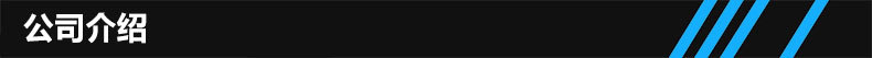 公司介绍