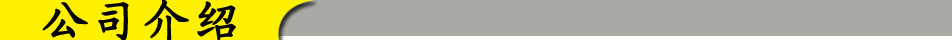 公司介绍
