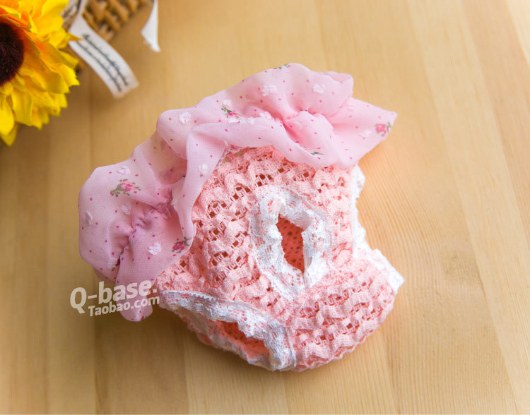 蕾丝宠物生理裤 小狗