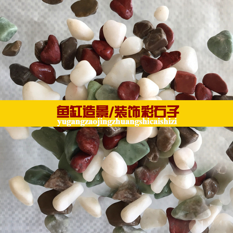 3513260225_441901303