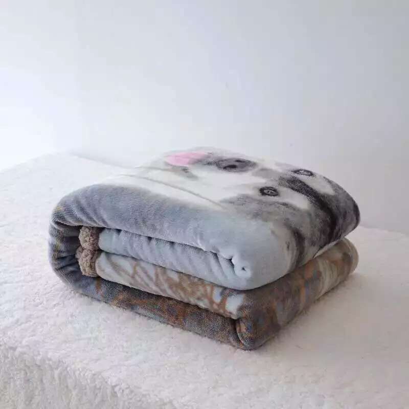 狼5