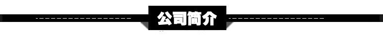 公司简介