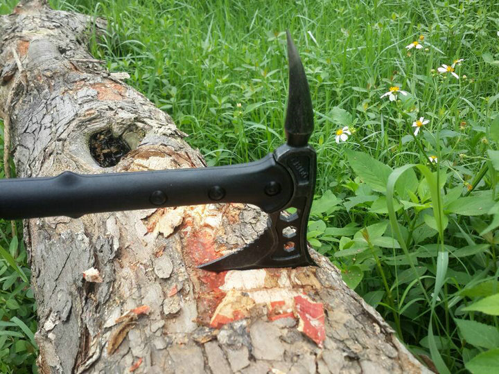 辣椒尾斧头  (7)