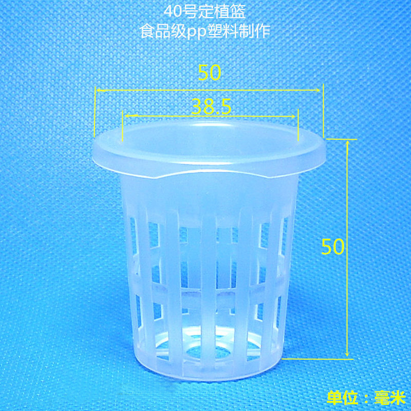 40号无标800