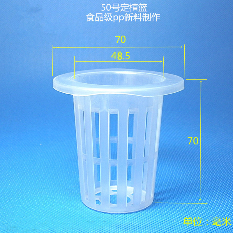 50号主图无标800