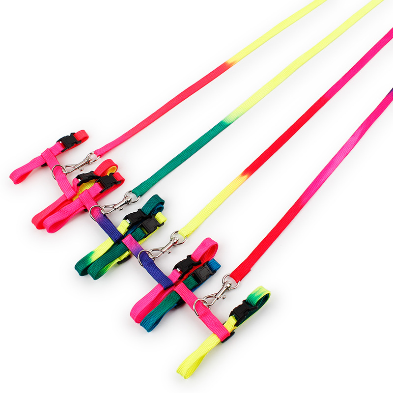 七彩猫用工字牵引绳2