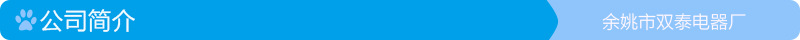 公司简介