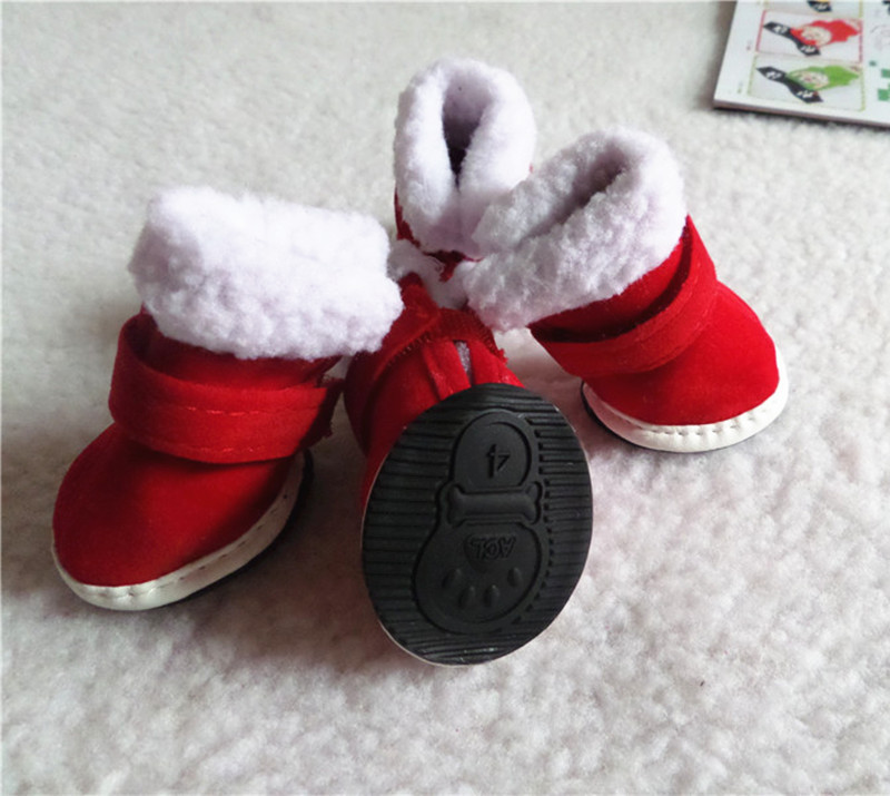 cccccccccccccccccccccccccccccc