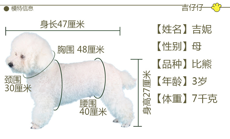 A100万能宠物垫详情图_31