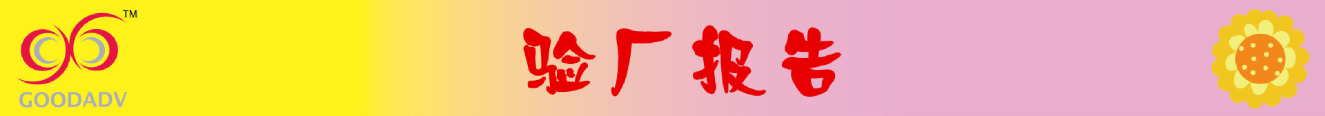 验厂报告