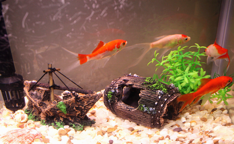 TB20j5GcpXXXXb_XpXXXXXXXXXX_!!