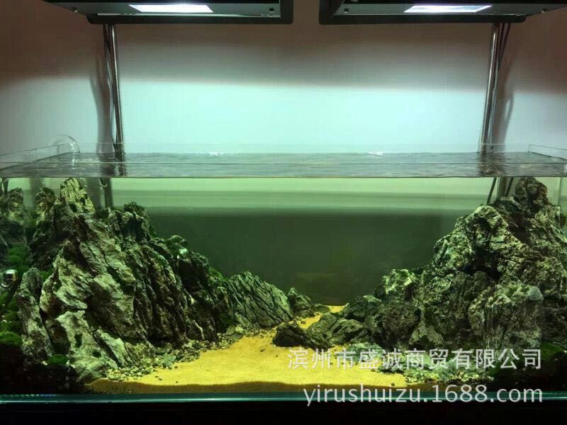 mmexport1456898649688