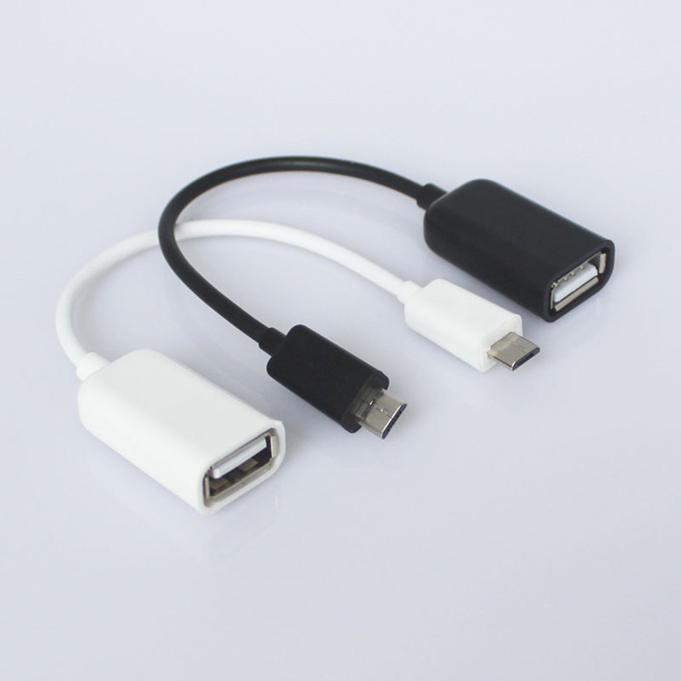 1797749826_693829281_副本