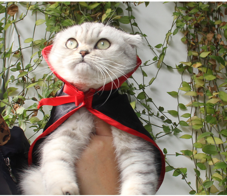B0117猫斗篷详情图_14