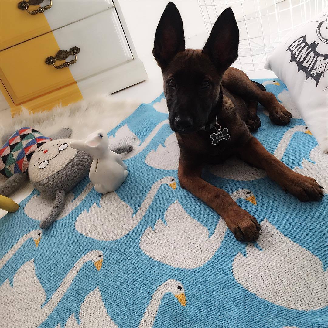 11248722_1692590817641906_1934