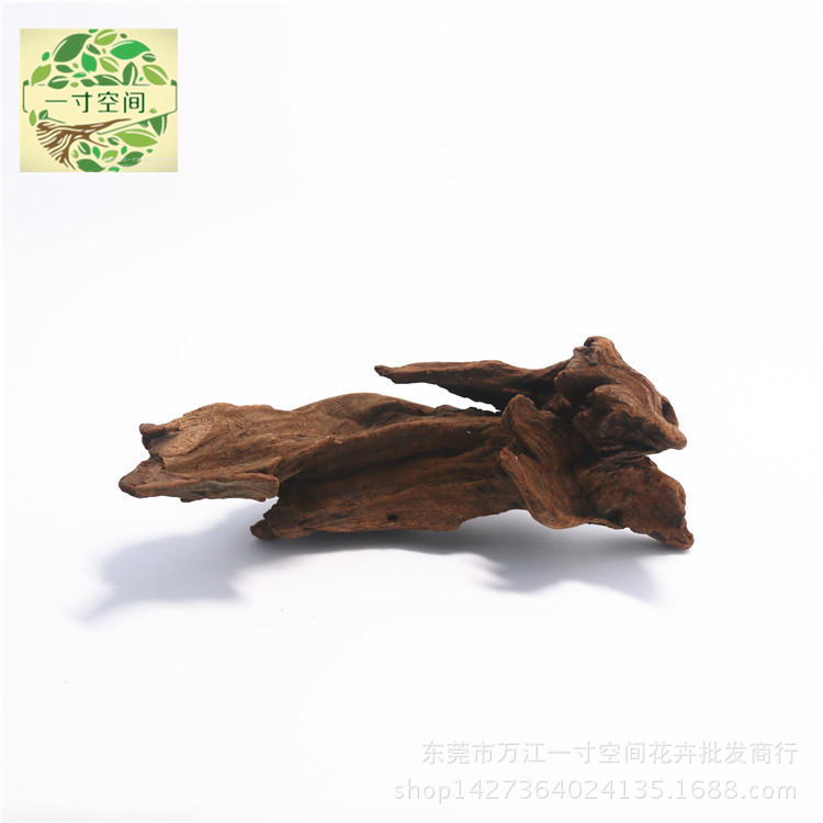 IMG_1984_副本_副本_副本