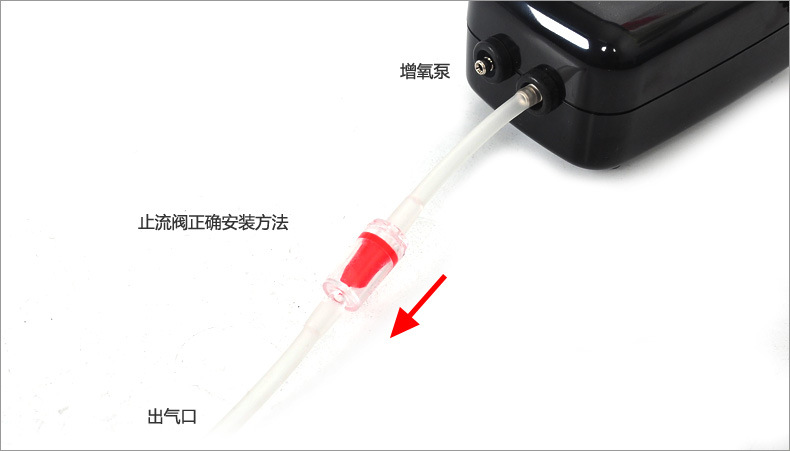 TB2PGXXbVXXXXc0XXXXXXXXXXXX-23