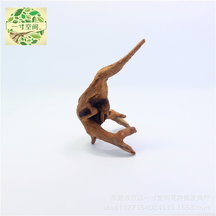 IMG_2012_副本_副本_副本