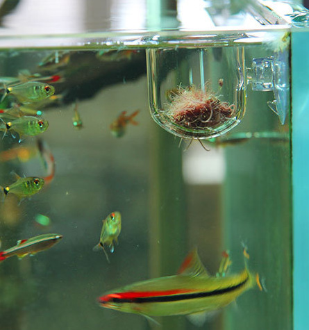 QQ图片20160901082050