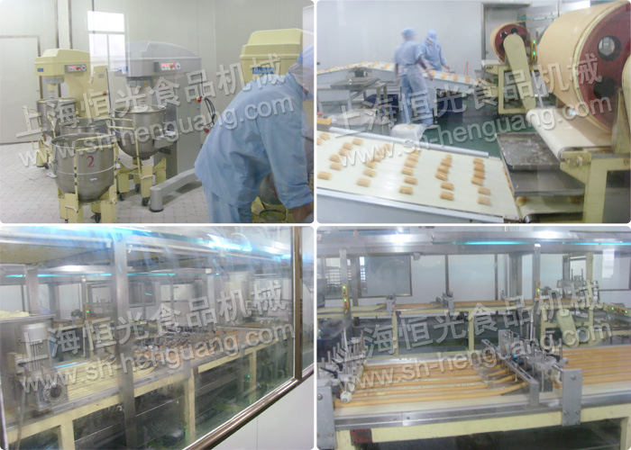 瑞士卷生产线002