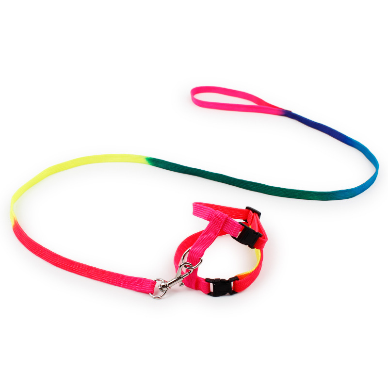 七彩猫用工字牵引绳3