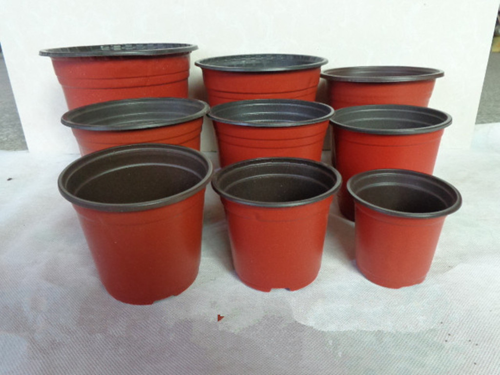 TB2SA7YcpXXXXXeXpXXXXXXXXXX_!!