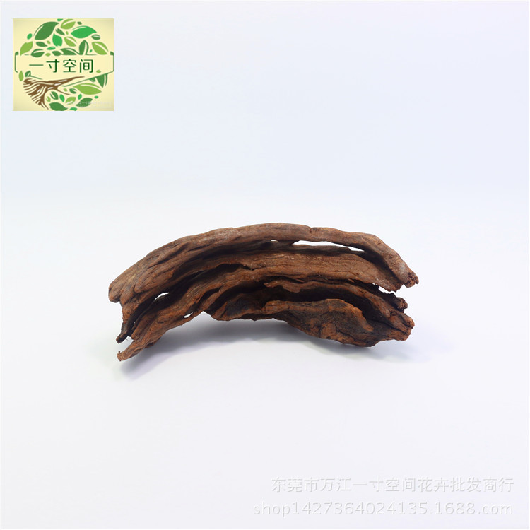 IMG_2010_副本_副本_副本