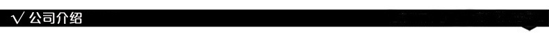 公司介绍