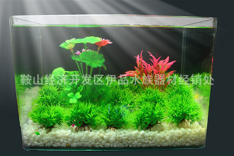 TB2e10cau6yQeBjy0FfXXcWvXXa_!!