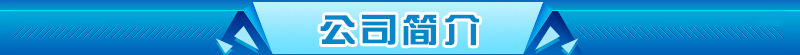 公司简介