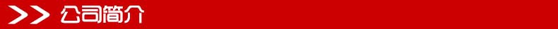公司简介