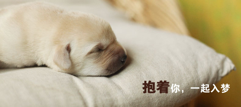 T2vzxWX0NXXXXXXXXX_!!730271562