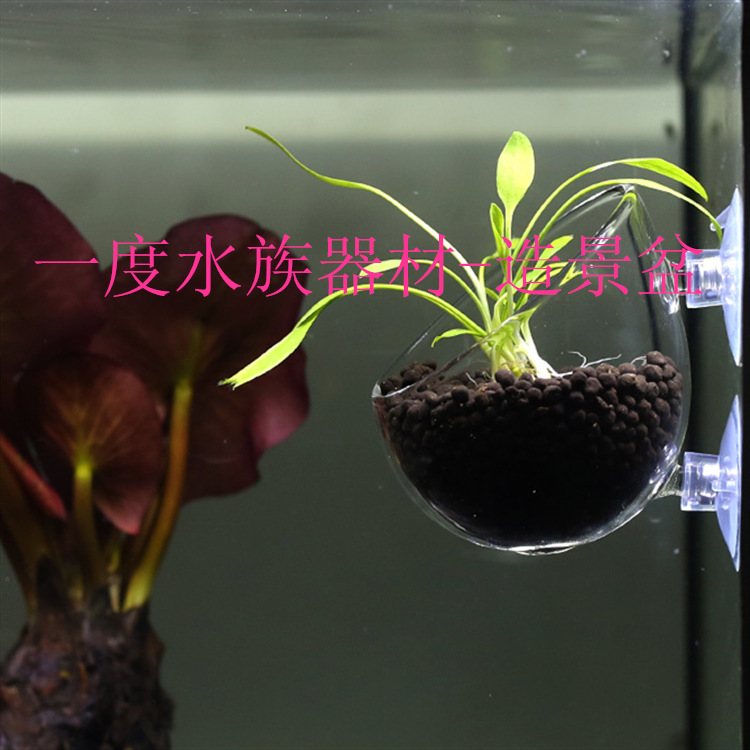 QQ图片20160312143345_副本_副本