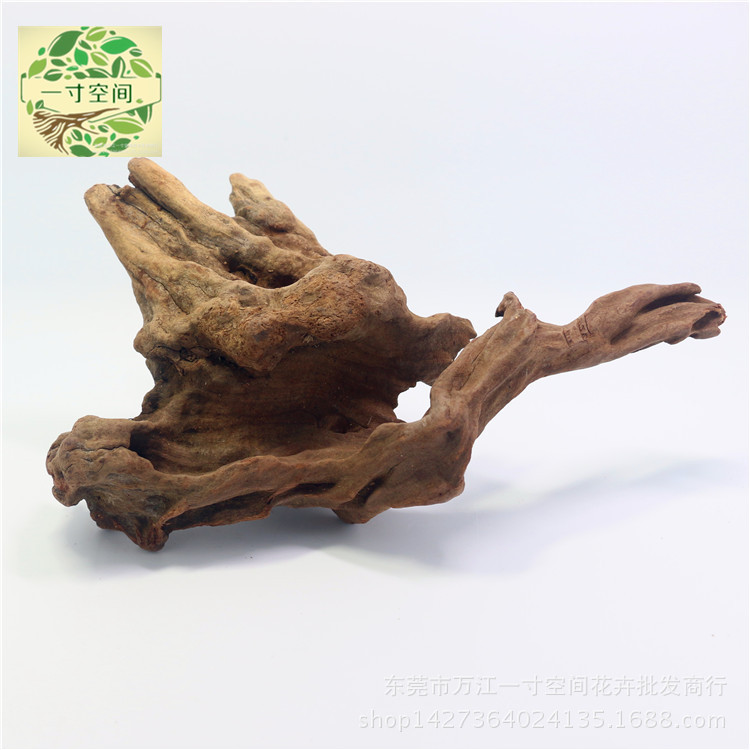 IMG_2005_副本_副本_副本