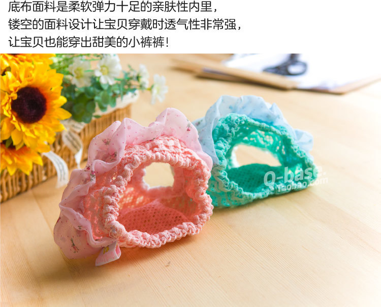 蕾丝宠物生理裤 (13)