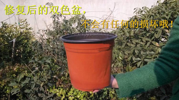 TB2dDIGdXXXXXXhXXXXXXXXXXXX_!!