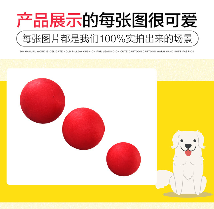 宠物球_05