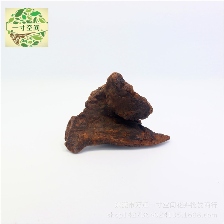 IMG_1999_副本_副本_副本