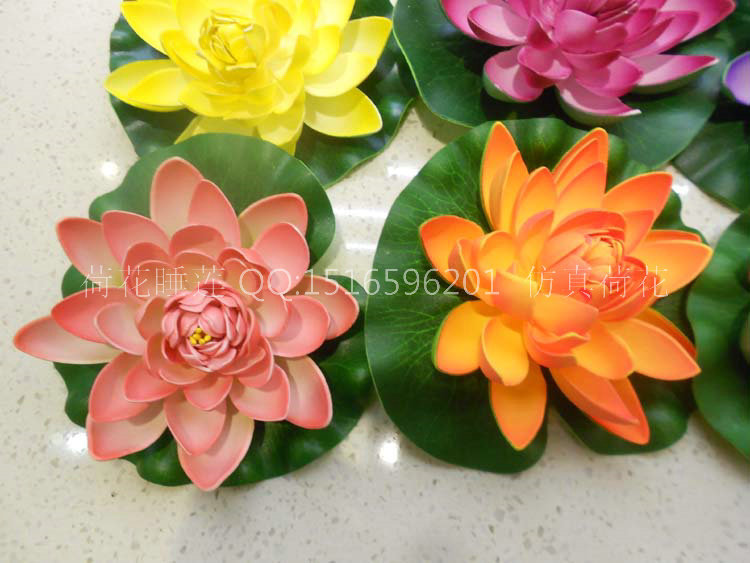 18cm荷花 004