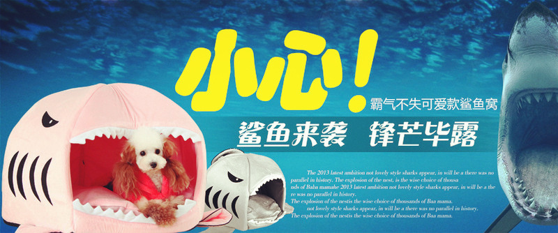 40bOOOPICce_1024_副本