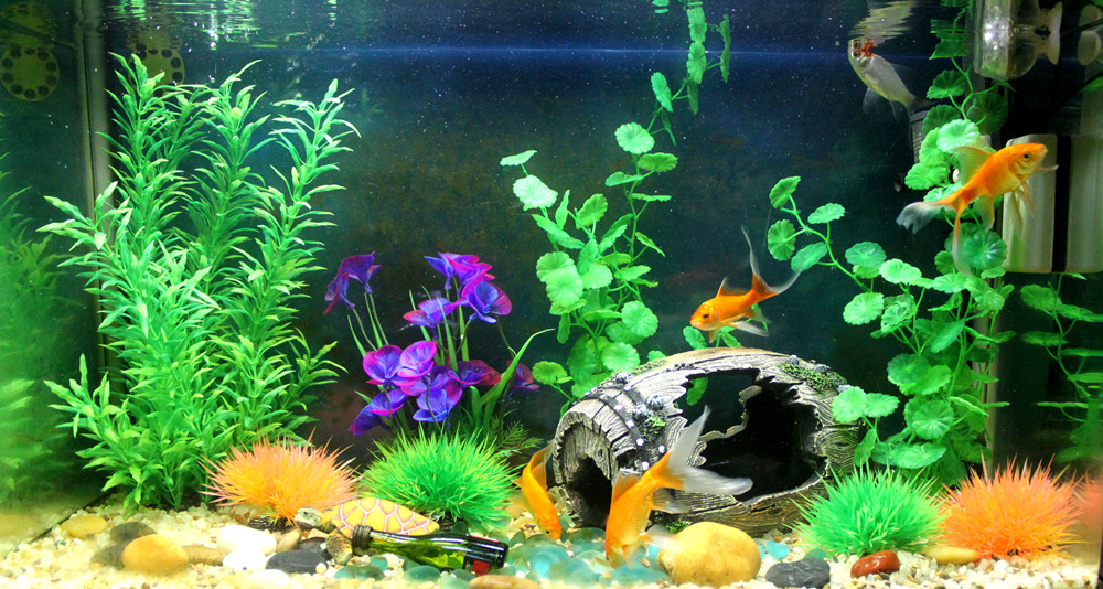 TB2ISXaqpXXXXafXXXXXXXXXXXX_!!