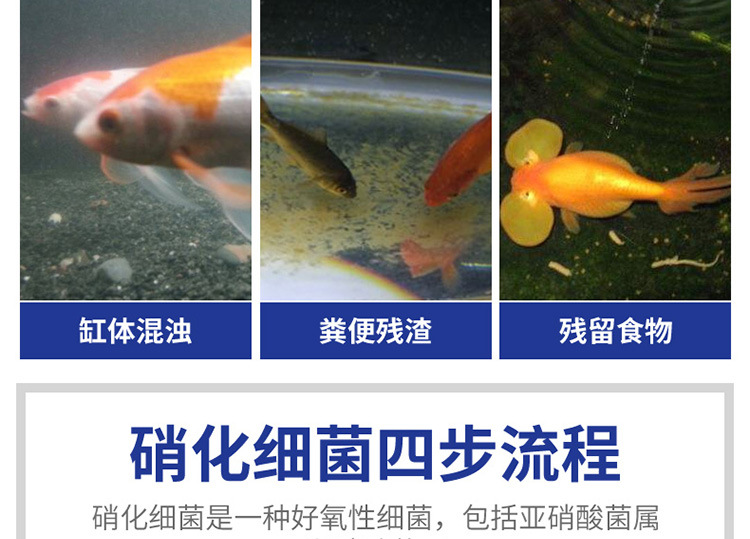 硝化细菌-详情750_07