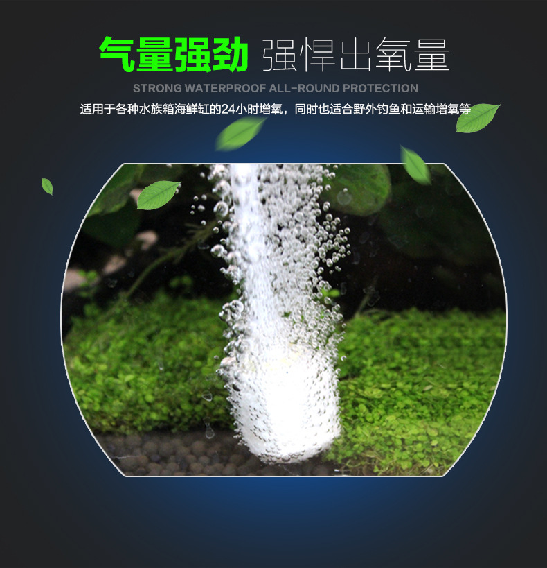 描述g_05