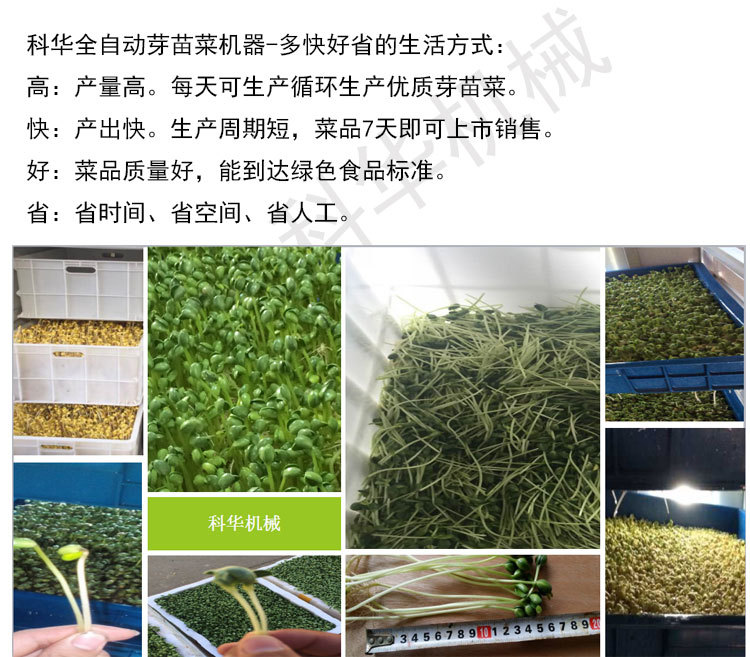 芽苗菜机_11