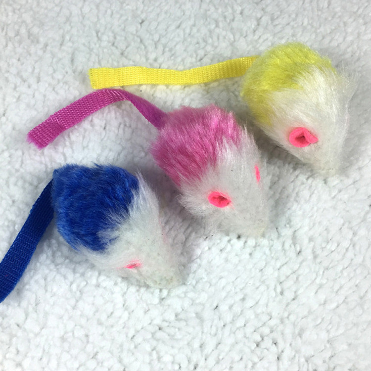 5727982466_2081593300